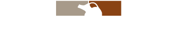 Casa Midas